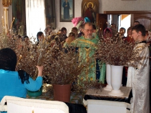 Вербное воскресенье в селе Большой Улуй
