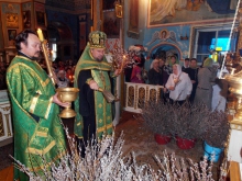 Вход Господень в Иерусалим 2