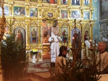 Всенощное бдение в Казанском соборе 8