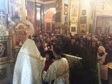 Ночная Божественная литургия в Казанском соборе 15