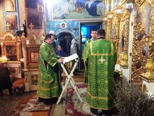 Вербное воскресенье 4