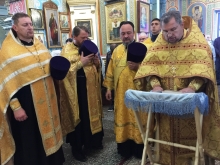 В Казанском соборе отслужили молебен о сохранении творения Божия