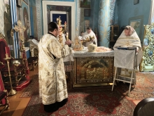 В Казанском соборе прошла ночная праздничная рождественская Литургия 3