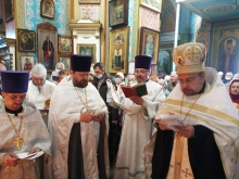 Радоница 2