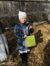 Столовая для птиц открылась в православной гимназии 2