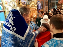 Ведение во храм Пресвятой Богородицы 12