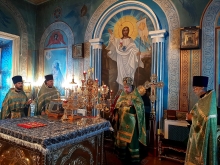 Вербное воскресенье в Казанском соборе 10