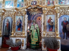 Вербное воскресенье в Казанском соборе 14