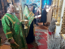 Вербное воскресенье в Казанском соборе 9