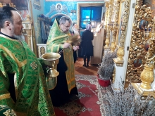 Вербное воскресенье в Казанском соборе