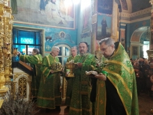Вербное воскресенье в Казанском соборе 3