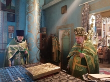 Вербное воскресенье в Казанском соборе 6
