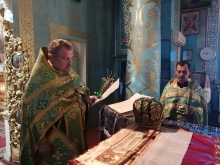 Вербное воскресенье в Казанском соборе 5