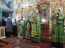 Вербное воскресенье в Казанском соборе 7