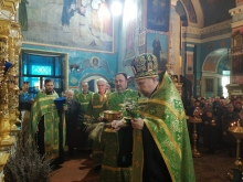 Вербное воскресенье в Казанском соборе