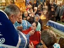 Введение во храм Пресвятой Богородицы 6