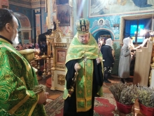 Вербное воскресенье в Казанском соборе