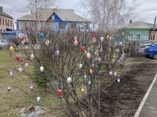 Рядом с Казанским собором появились Пасхальные деревья