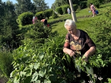 Прихожане Казанского собора украшают свой любимый храм 2