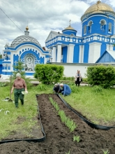 Прихожане Казанского собора украшают свой любимый храм 7