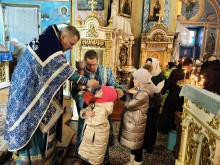 Введение во храм Пресвятой Богородицы 5